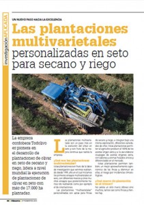 Olimerca_1