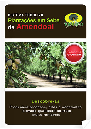Almendro_PT