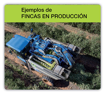 Ejemplos_Fincas_de_Producción