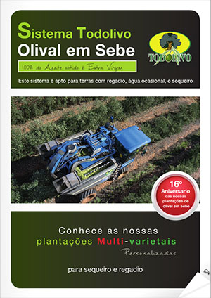 Olivo_PT