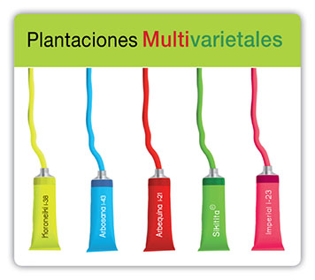 Plantaciones_multivarietales