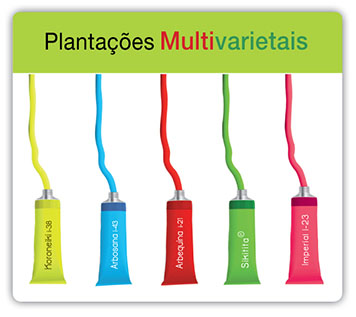 Plantaciones_multivarietales_pt