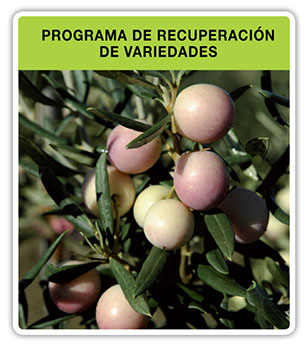 Programa-recuperacion-variedades