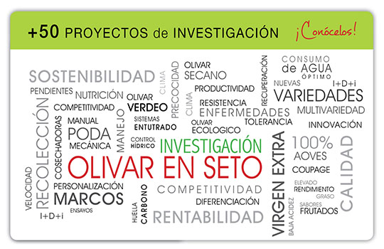 Proyectos-de-Investigacion