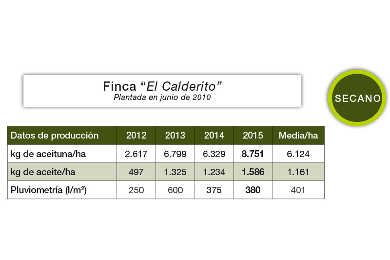 Tabla de producción (Finca de olivar en seto de secano El Calderito