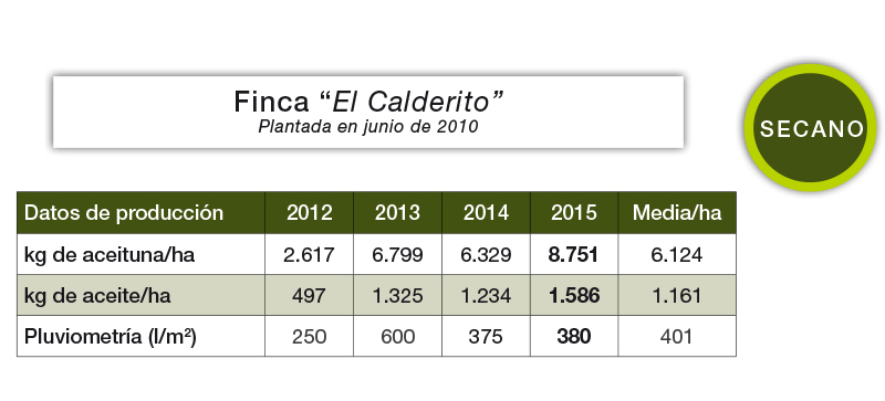 Tabla de producciónn finca El Calderito