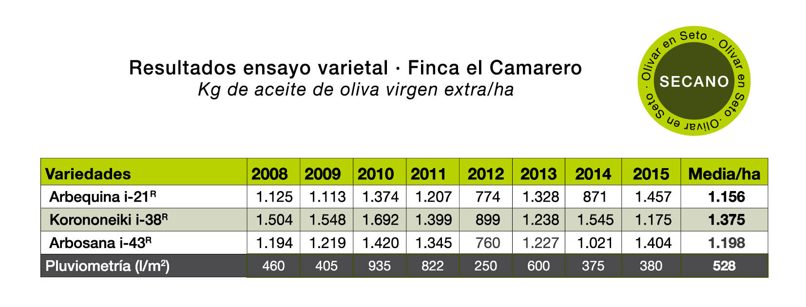 Ensayo varietal Olivar en Seto Secano