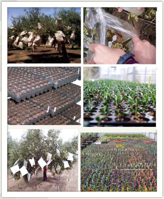 Todolivo-doss_i-15_02