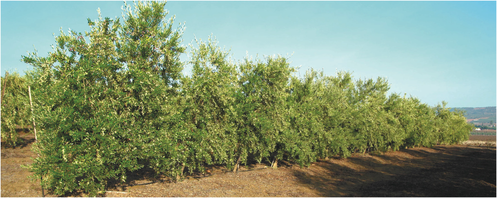 Todolivo-not-imparable-kilos_03